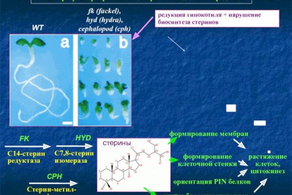 Дайте ссылку блэкспрут